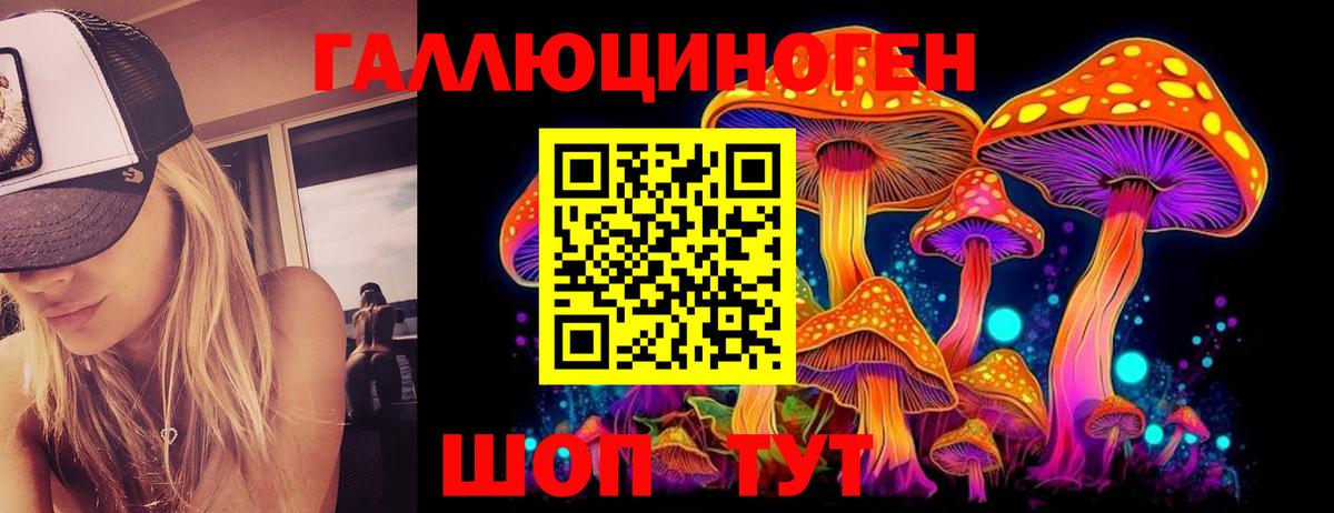Тавда  где продают наркотики  Вход с VPN  Псилоцибиновые грибы мицелий 